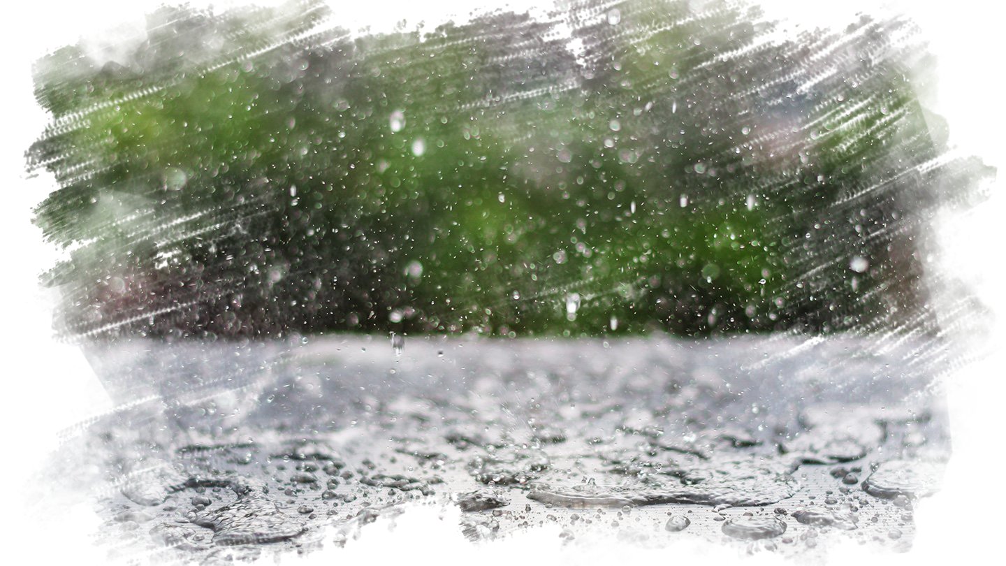  �������� ���������� ����� �������� ������� ����� ����������� 