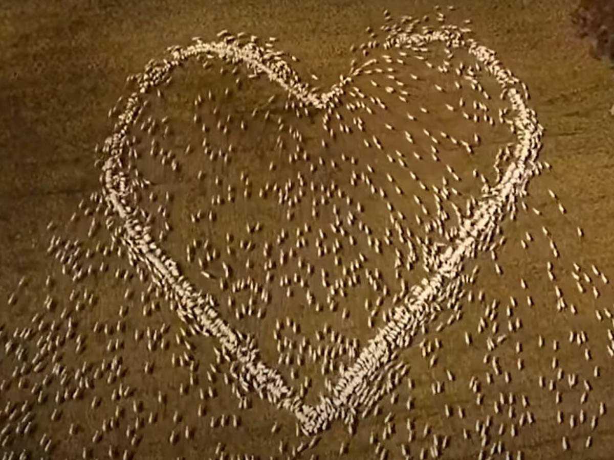  ������������� ������ ������ ���� ������� ������ ���� 