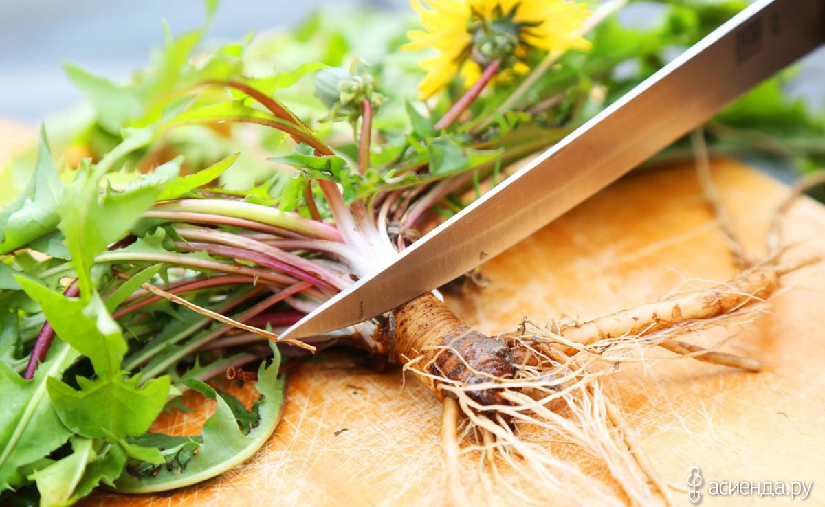  �������� ������� ���������� �������� ������ 