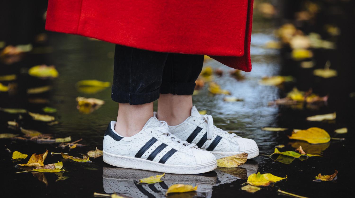  ���� ����������� ��������� ������� ����� 