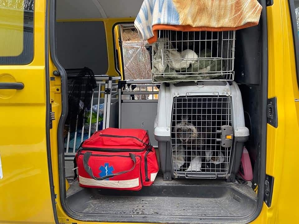  �������� ����������� ���������� ������� ������ ������� �������� ������ 