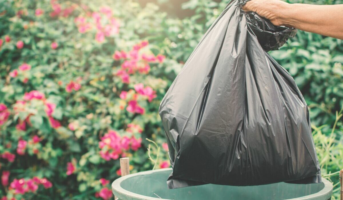  ������� ���� ���� ����������� 