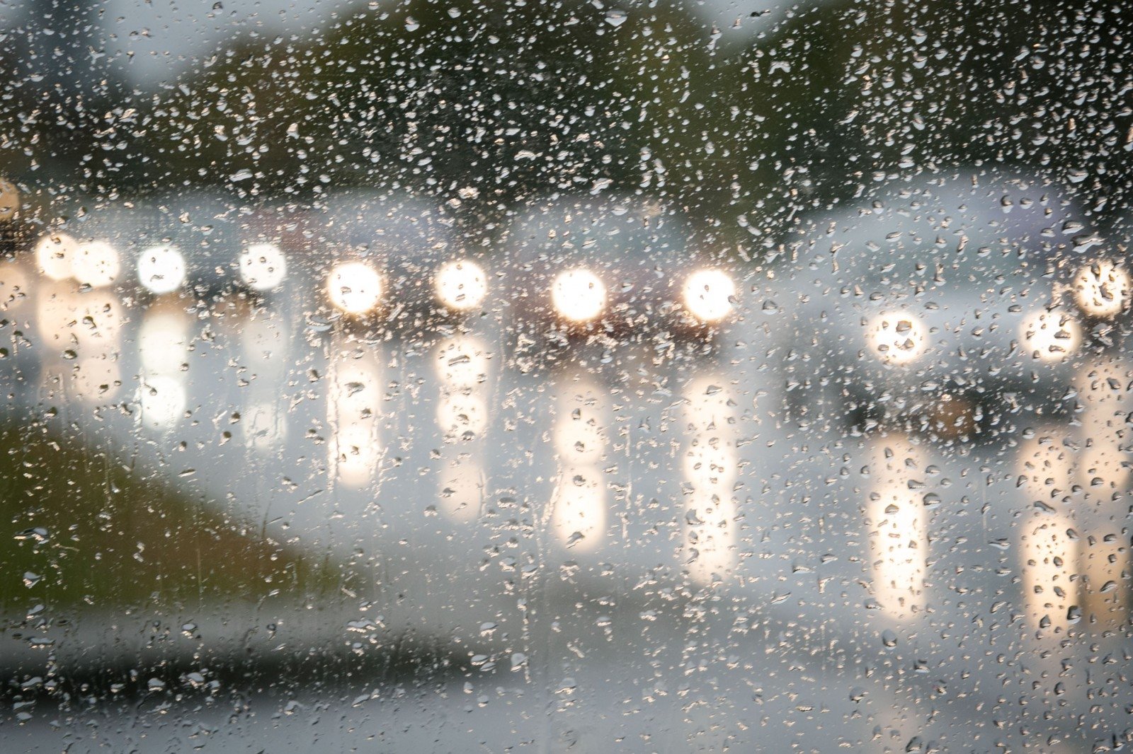  ����� ����������� ��������� ���������� ������� ��������� ������ 