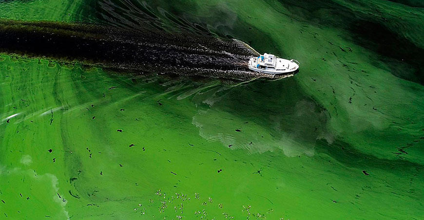  �������� �������� ����� ��������� ������ ������������ ������������ 