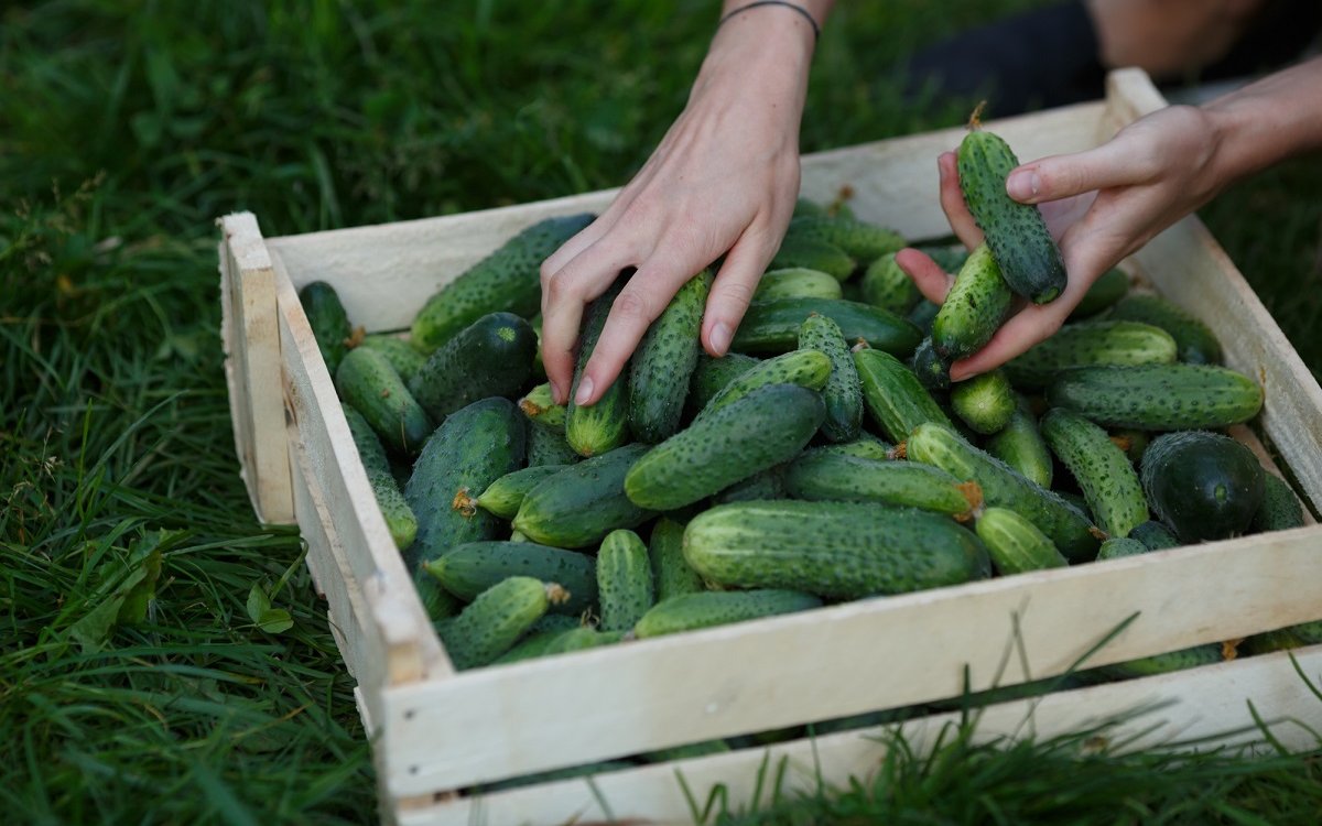  ������ ������� �������� ������ ��������� 