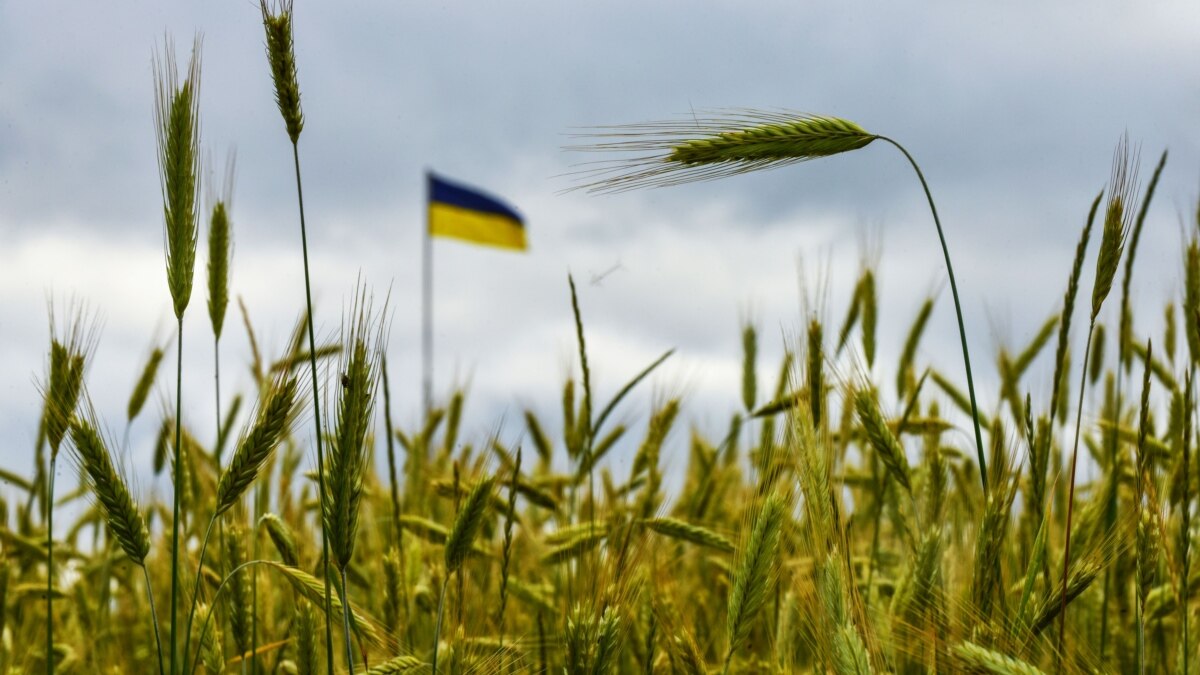 Союзники та їхні підходи до допомоги