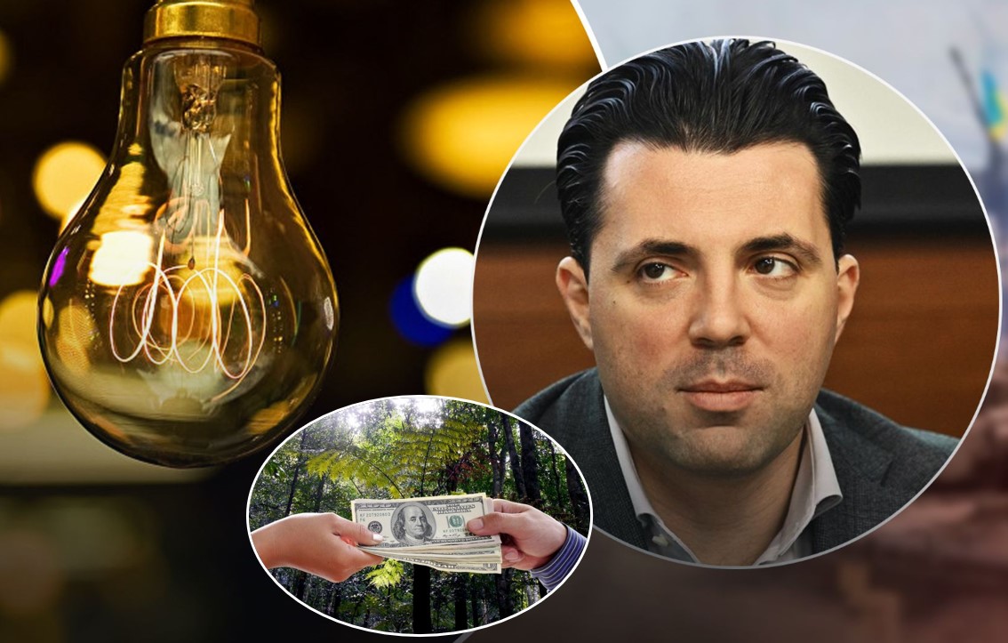 До екс-керівника УКРЕНЕРГО прийшли з обшуками і до чого тут ліси?