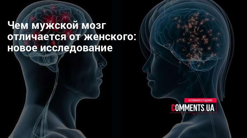 Различия мужчин и женщин - Чем мужской мозг отличается от женского