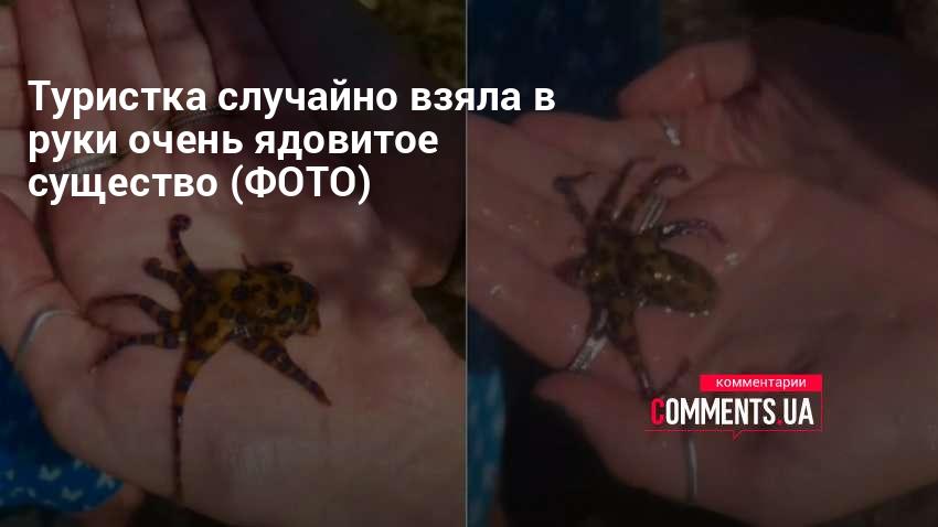 Ядовитые существа - Туристка взяла в руки опасного ...