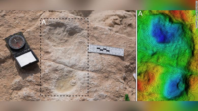 В Саудовской Аравии нашли следы возрастом в 120 тысяч лет: исследователи рассказали, кому они принадлежат - фото 2