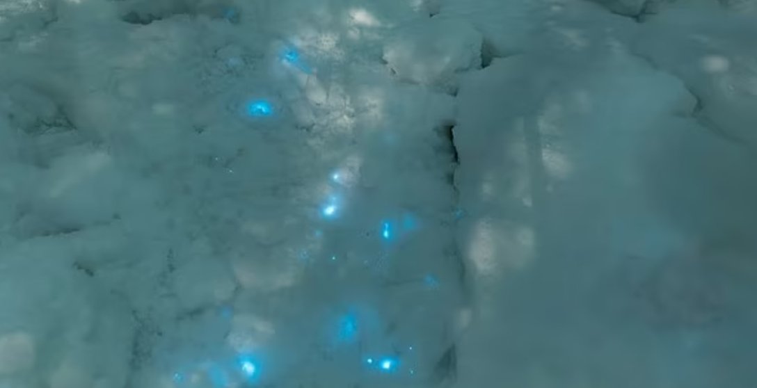 Сніг, що світиться: у Росії помітили незвичайне природне явище (ФОТО) - фото 3