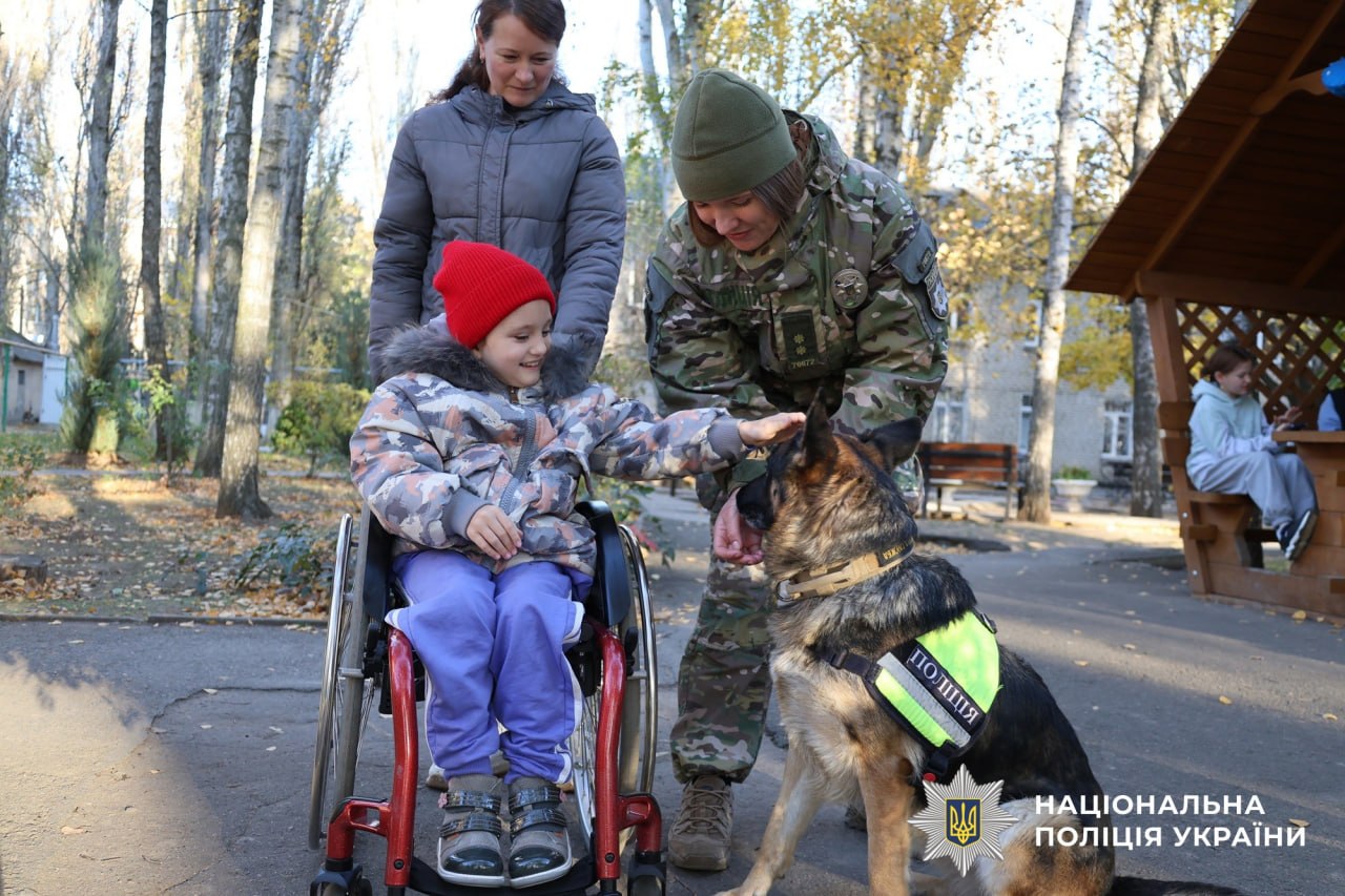 Пес Патрон не один: еще почти 900 четырехлапых ежедневно спасают жизнь украинцев - фото 2