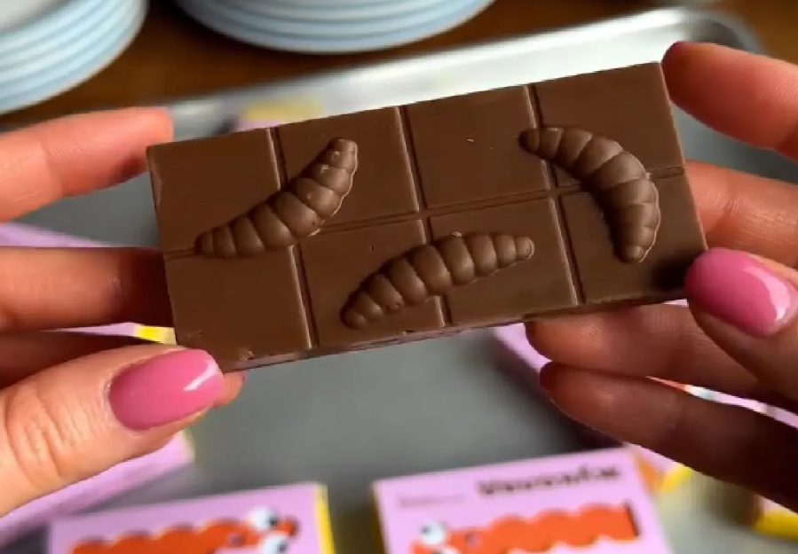 В Украине появился ”Жуколад”: шоколадный батончик с личинками жуков - фото 2 В Украине появился ”Жуколад”: шоколадный батончик с личинками жуков - фото 2