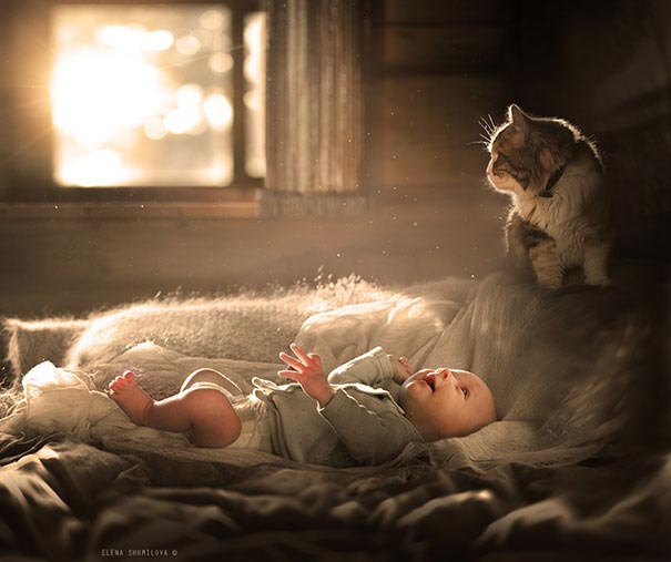 Двадцать фотографий, доказывающие, что ребёнку нужен кот - их очарование и теплота зашкаливает - фото 18