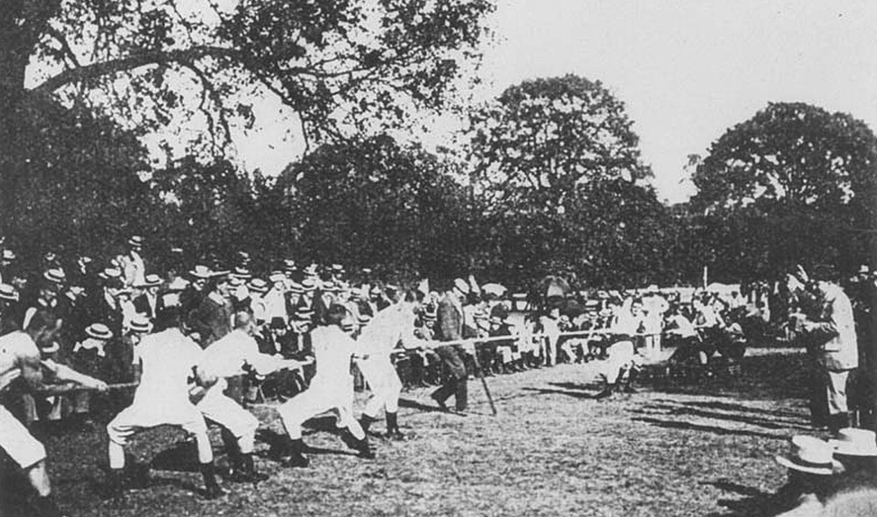 10 странных олимпийских видов спорта, которых больше не существует: от лыжного балета до стрельбы по голубям - фото 2 10 странных олимпийских видов спорта, которых больше не существует: от лыжного балета до стрельбы по голубям - фото 2