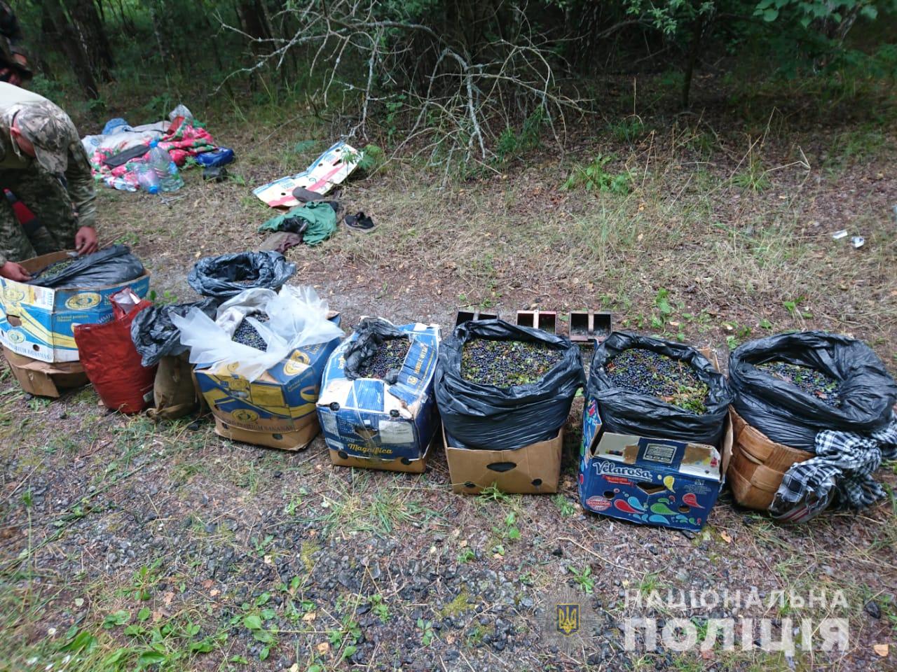 ФОТОФАКТ: Із Чорнобильської зони намагалися вивезти сотні кілограмів радіоактивних ягід - фото 2