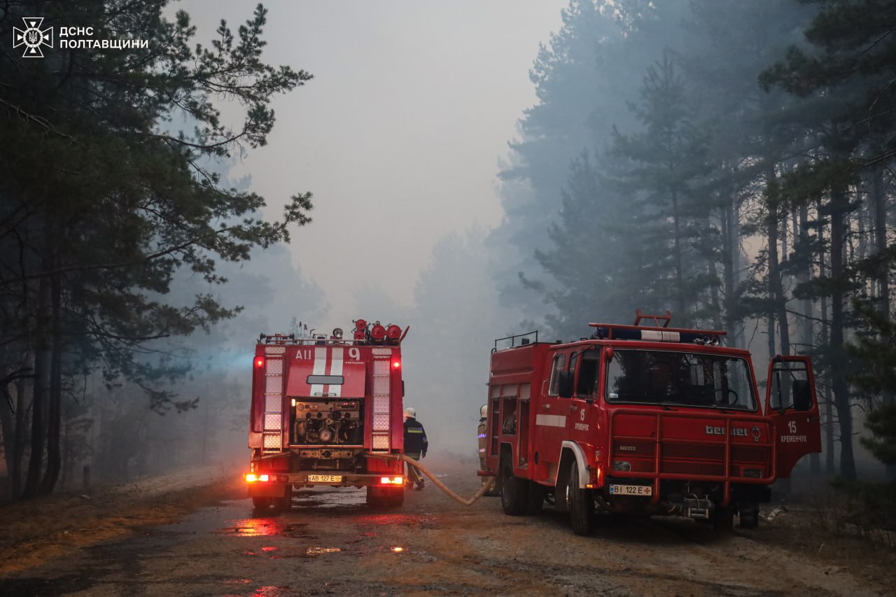 Понад 1000 гектарів лісу горить у двох областях: почалася евакуація - фото 9