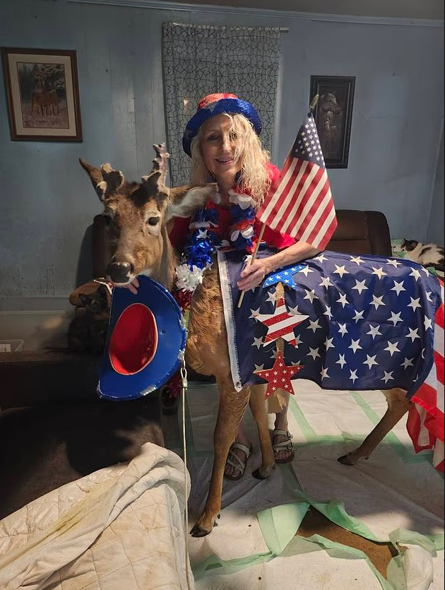 Жінку на смерть забив олень, якого вона врятувала в США - фото 2 Жінку на смерть забив олень, якого вона врятувала в США - фото 2