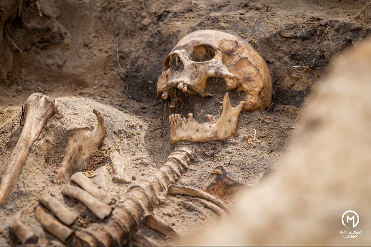 В Польше неожиданно раскопали сотни трупов времен чумы: похоронены целыми семьями в одной могиле (ФОТО) - фото 2