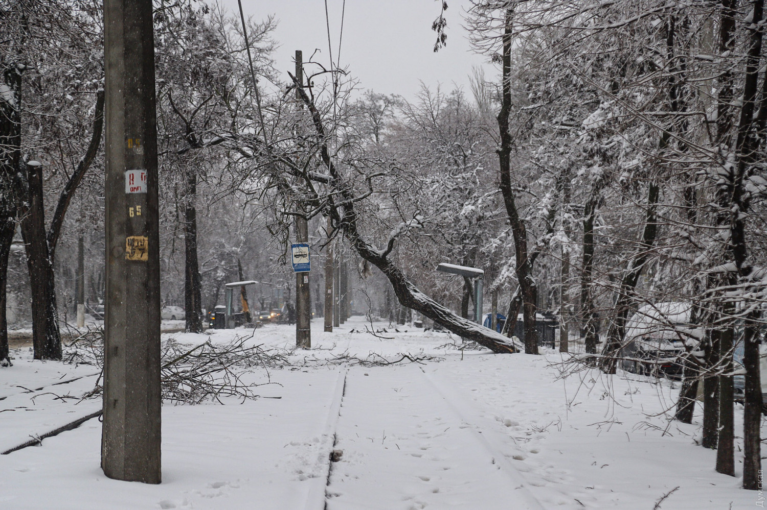 Круглосуточные снегопады в Одессе: как город справляется с непогодой (ФОТО, ВИДЕО) - фото 13