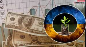 Чому Україна стає магнітом для венчурних інвесторів: топ-фактори зростання екосистеми в 2025-2026 роках