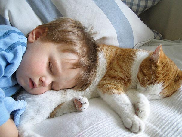 Двадцать фотографий, доказывающие, что ребёнку нужен кот - их очарование и теплота зашкаливает - фото 2