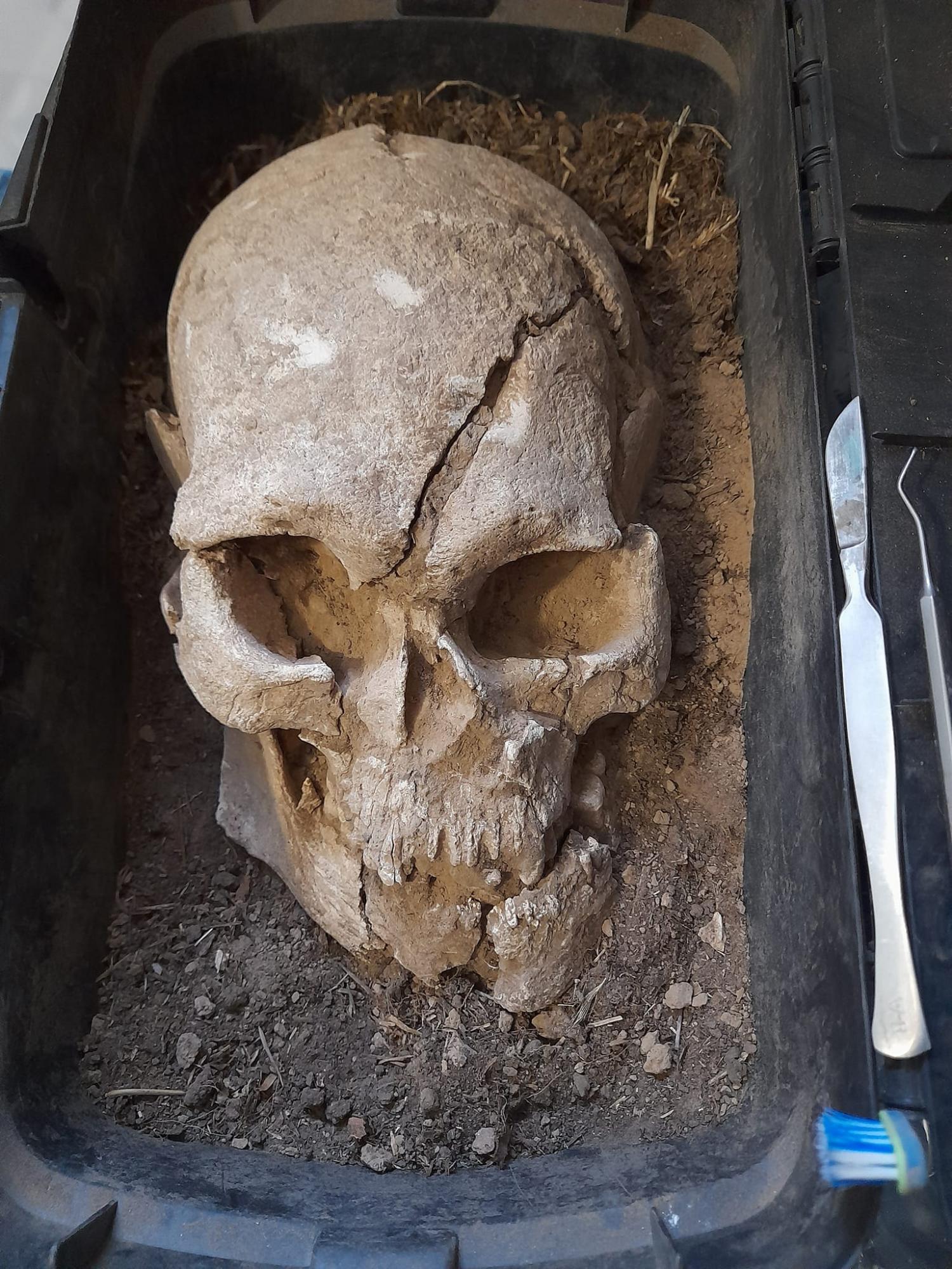 Возле Запорожья археологи нашли череп, которому 7000 лет (ФОТО) - фото 2
