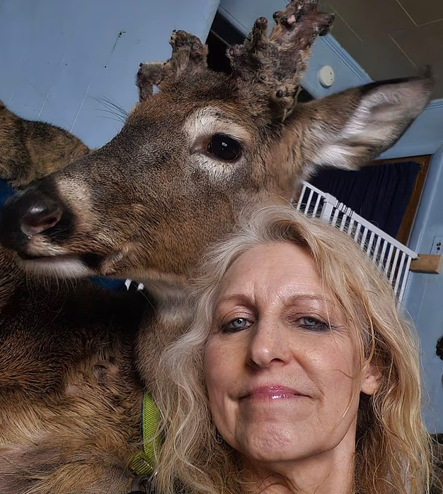 Жінку на смерть забив олень, якого вона врятувала в США - фото 2 Жінку на смерть забив олень, якого вона врятувала в США - фото 2