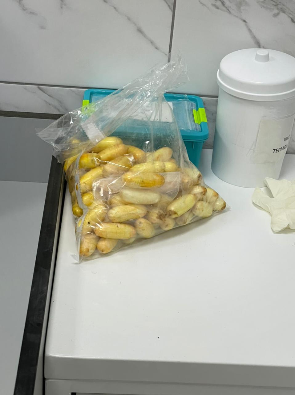 У иностранца в ”Борисполе” обнаружили килограмм кокаина в желудке: подробности инцидента  - фото 3