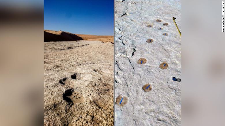 У Саудівській Аравії знайшли сліди віком в 120 тисяч років: дослідники розповіли, кому вони належать - фото 3