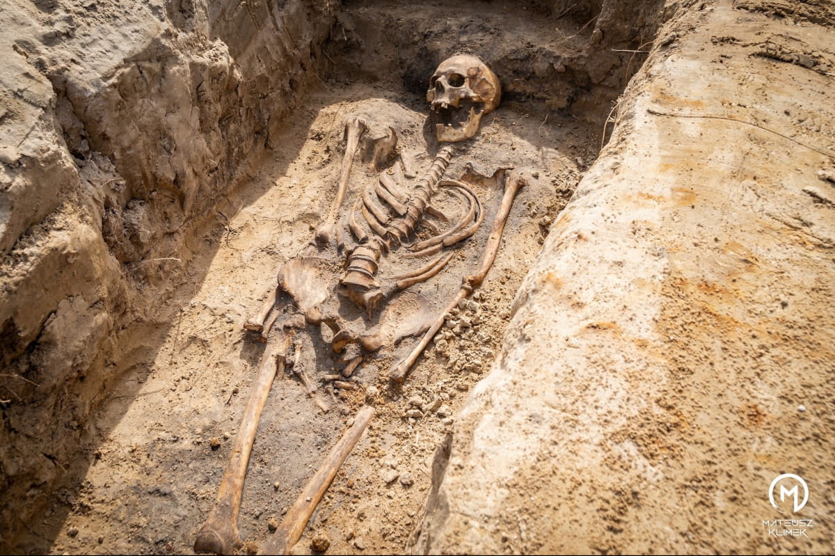 У Польщі несподівано розкопали сотні трупів часів чуми: поховані цілими сім'ями в одній могилі (ФОТО) - фото 6