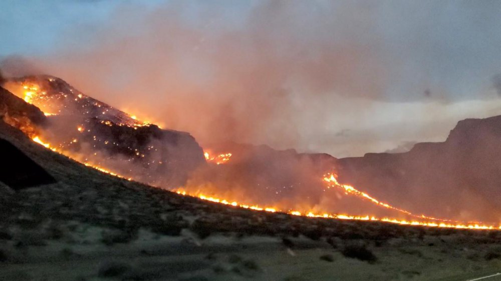 США охватили сильные лесные пожары: жителей эвакуируют (ФОТО)  - фото 2