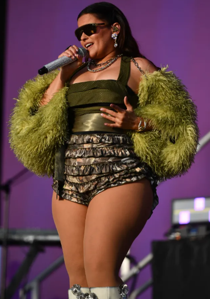 Нелли Фуртадо объявила о завершении карьеры - фото 2