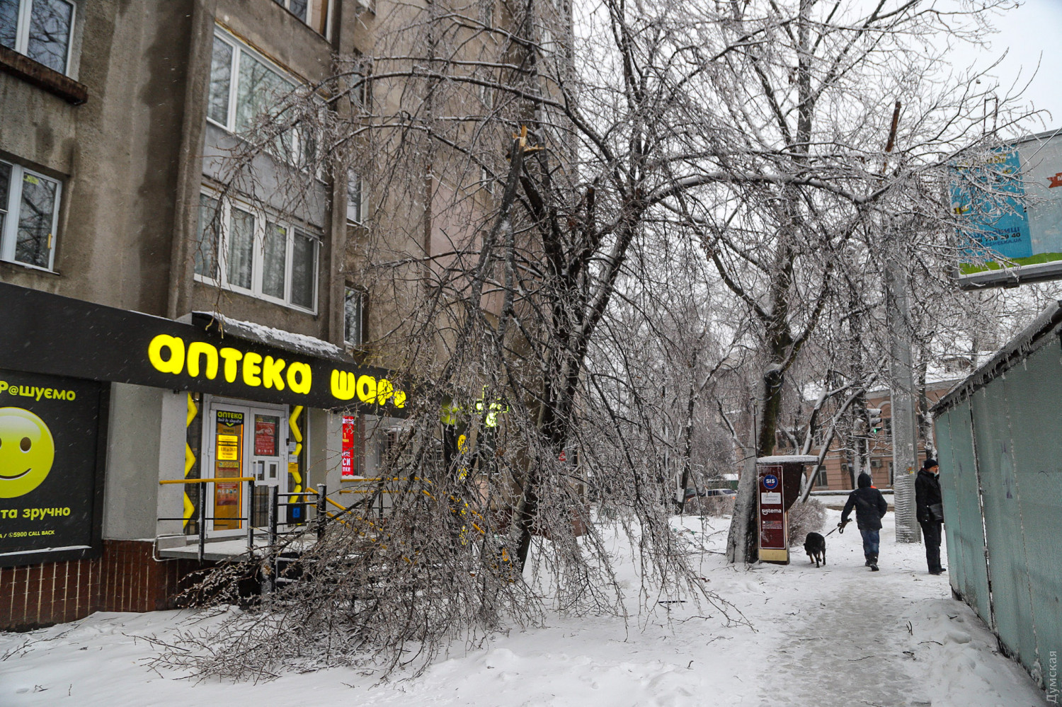 Цілодобові снігопади в Одесі: як місто справляється з негодою (ФОТО, ВІДЕО) - фото 8