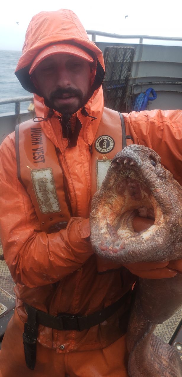 На Алясці рибалка зловив справжнього «морського монстра» (ФОТО) - фото 3