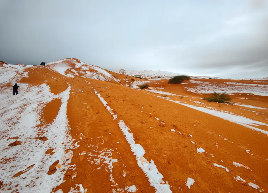 В пустыне Сахара выпал снег: редкие фото заснеженных песчаных дюн - фото 2