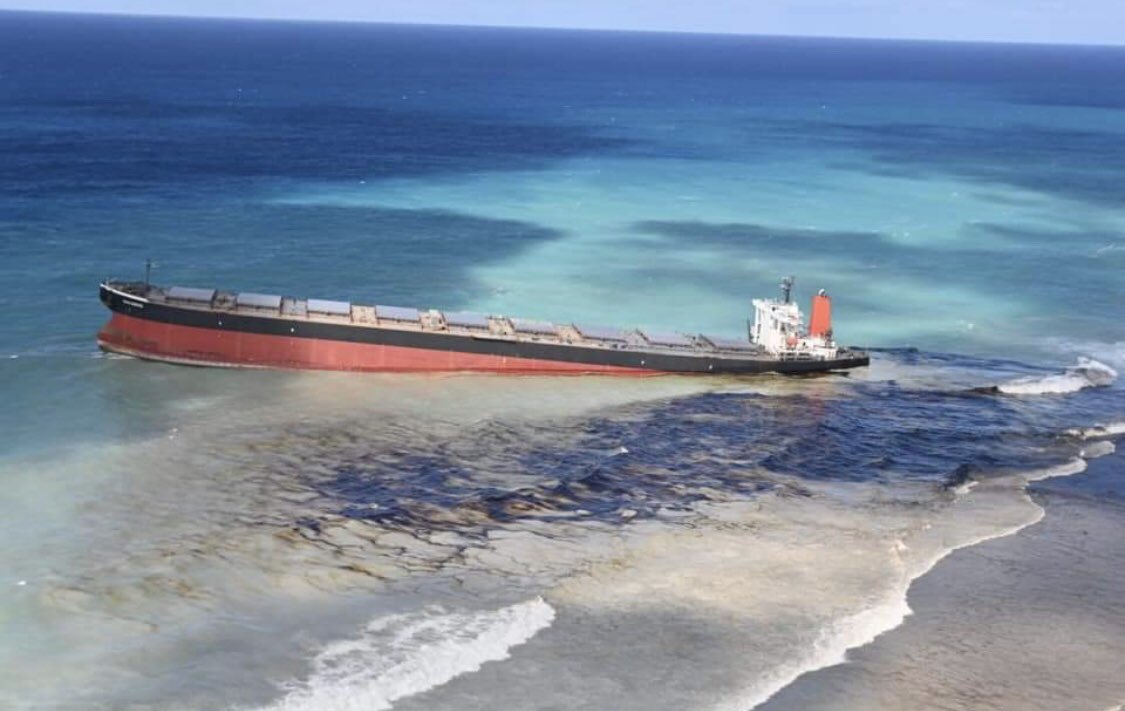 Берега острова Маврикий заливают тонны нефти (ФОТО, ВИДЕО) - фото 5