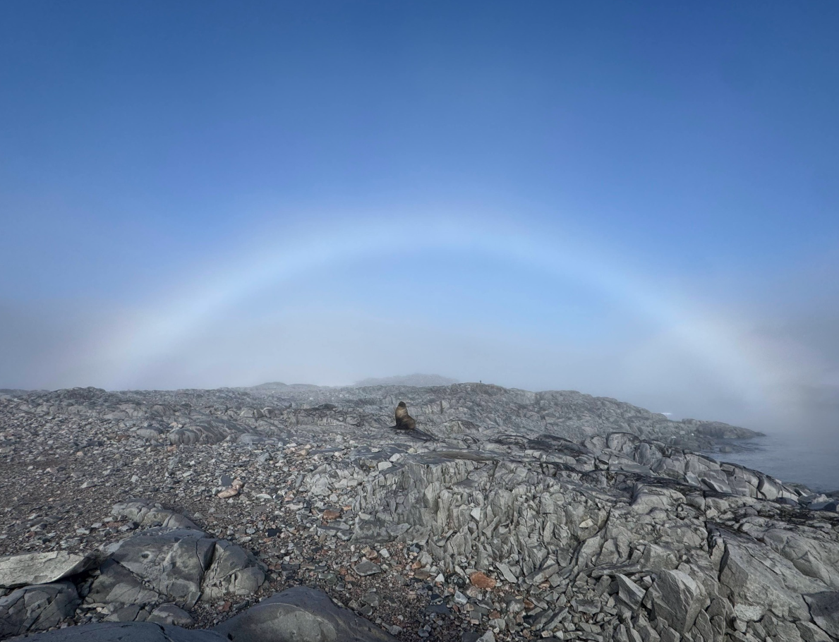 В Антарктиде украинские полярники зафиксировали белую радугу: как выглядит (ФОТО) - фото 2
