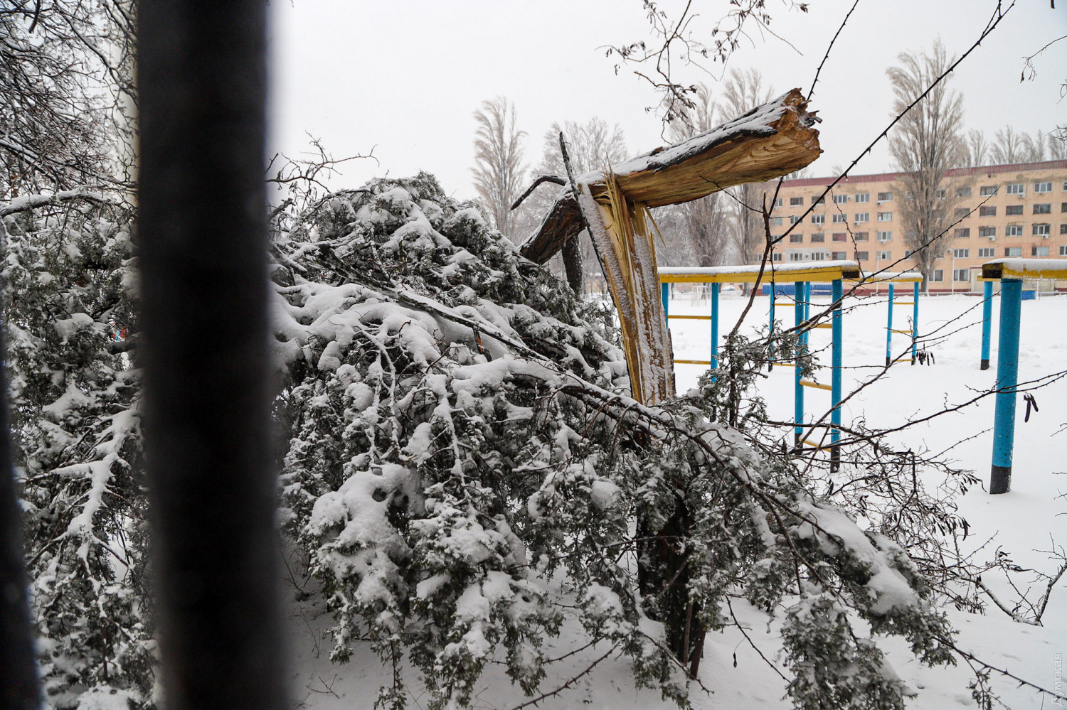 Цілодобові снігопади в Одесі: як місто справляється з негодою (ФОТО, ВІДЕО) - фото 12