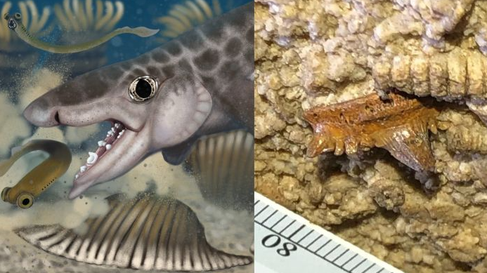 Ученые обнаружили неизвестный вид, который был спрятан в самой длинной пещере мира - фото 2