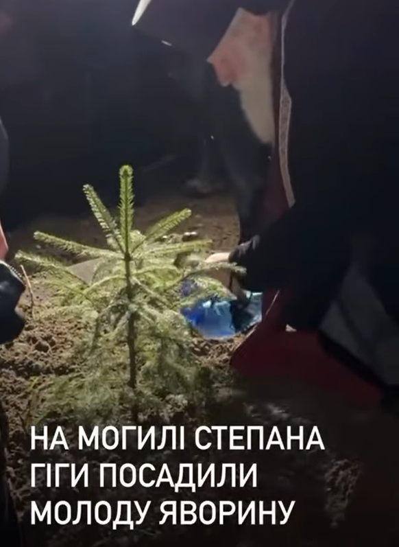 На могиле Степана Гиги посадили не молодую яворину (ВИДЕО) - фото 2