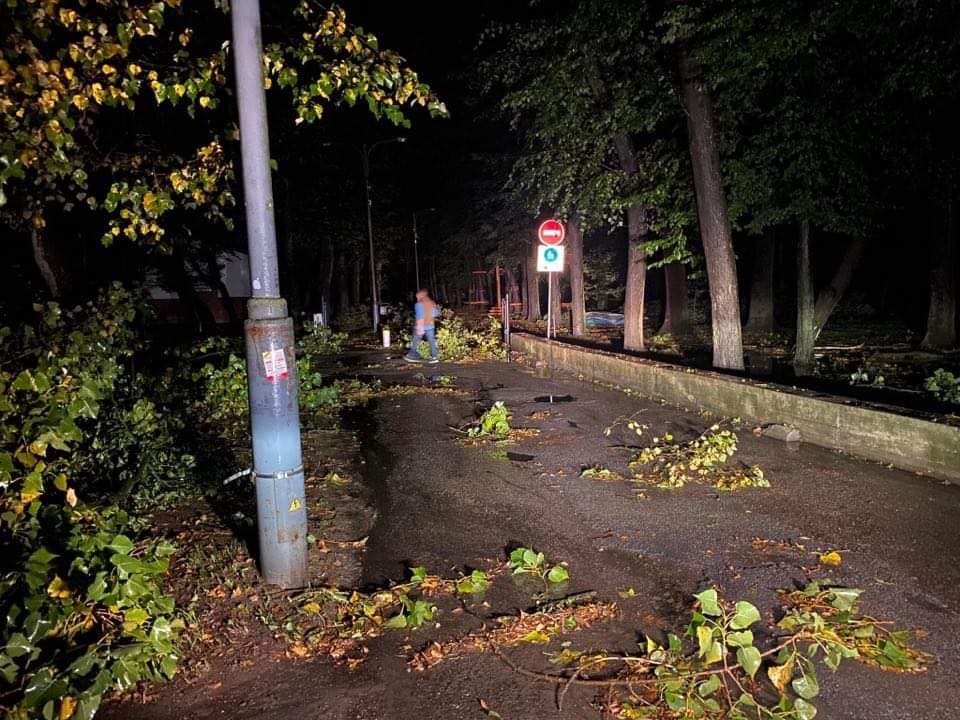 ФОТОФАКТ: В Івано-Франківську через негоду повалені дерева та лінії електропередач - фото 8