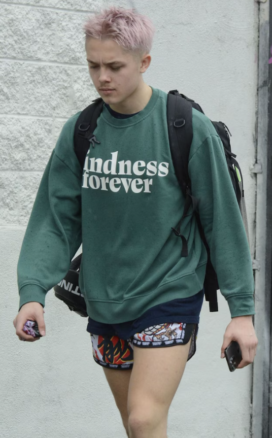 17-річний син Анджеліни Джолі пофарбував волосся у рожевий колір: як виглядає (ФОТО) - фото 2 17-річний син Анджеліни Джолі пофарбував волосся у рожевий колір: як виглядає (ФОТО) - фото 2