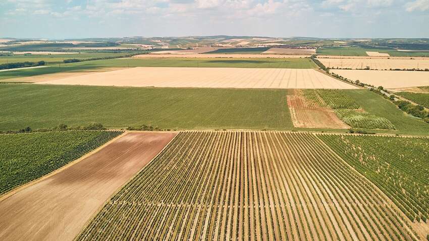 РФ пішла на черговий цинічний злочин на окупованих територіях: що відомо 