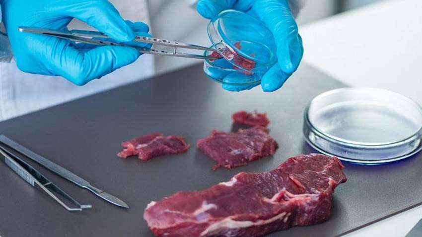 У Китаї визначили джерело коронавіруса