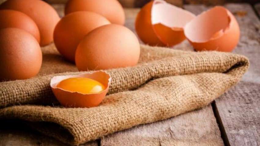 Эксперт объяснил, можно ли есть яйца с белым сгустком внутри