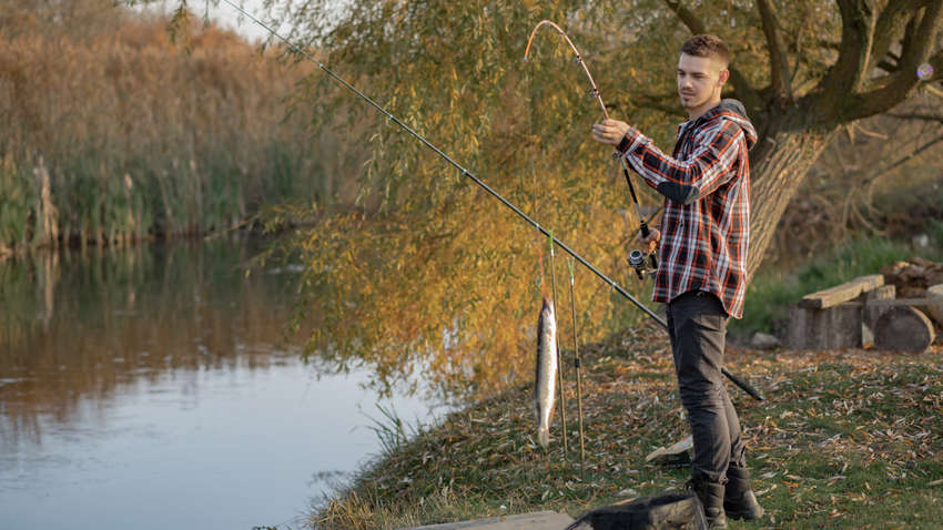 Где и как можно ловить рыбу с ноября: действуют новые условия