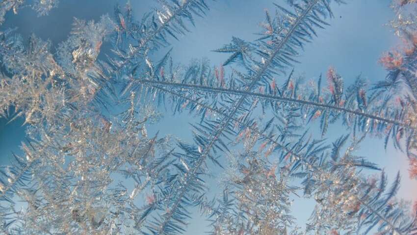 Собор Пресвятої Богородиці: заборони, традиції та особлива прикмета дня