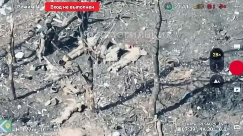 Оккупанты казнили украинских военнопленных в Запорожской области - очередное военное преступление на фоне разговоров о "мирных планах"