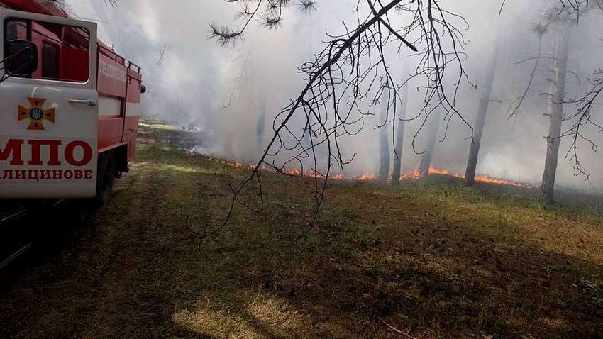 Из-за обстрелов оккупантов в Николаевской области горят леса: что известно о пожарах